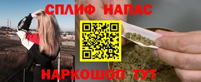 молекула духа Будённовск